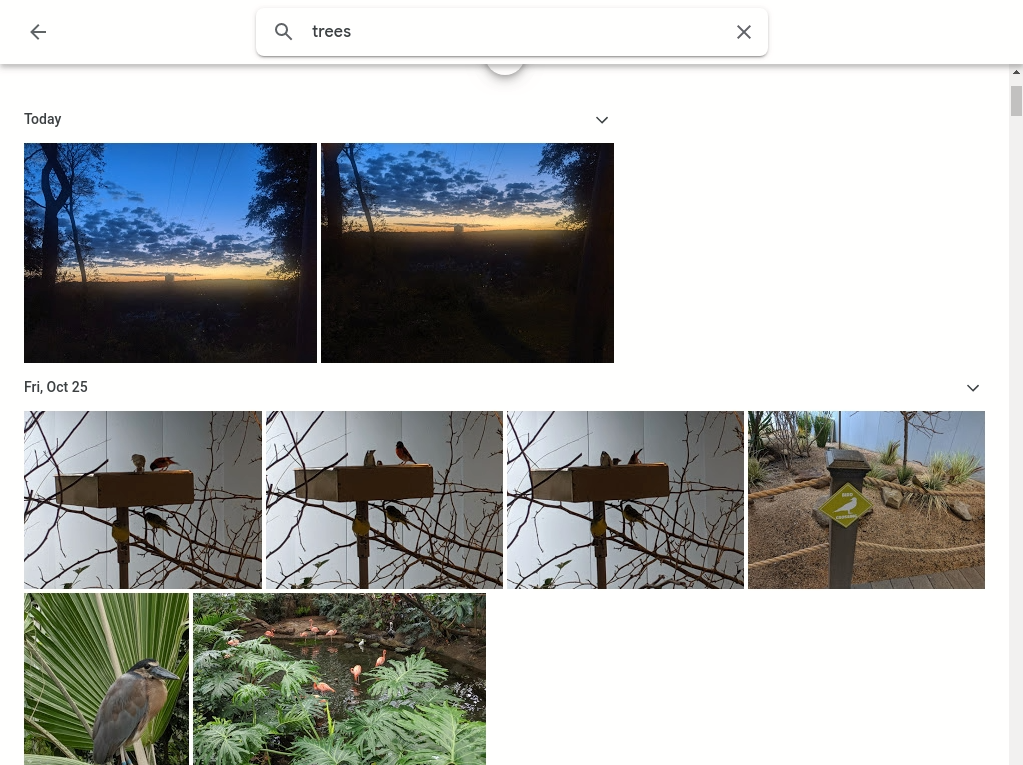 Google Photos Screenshot