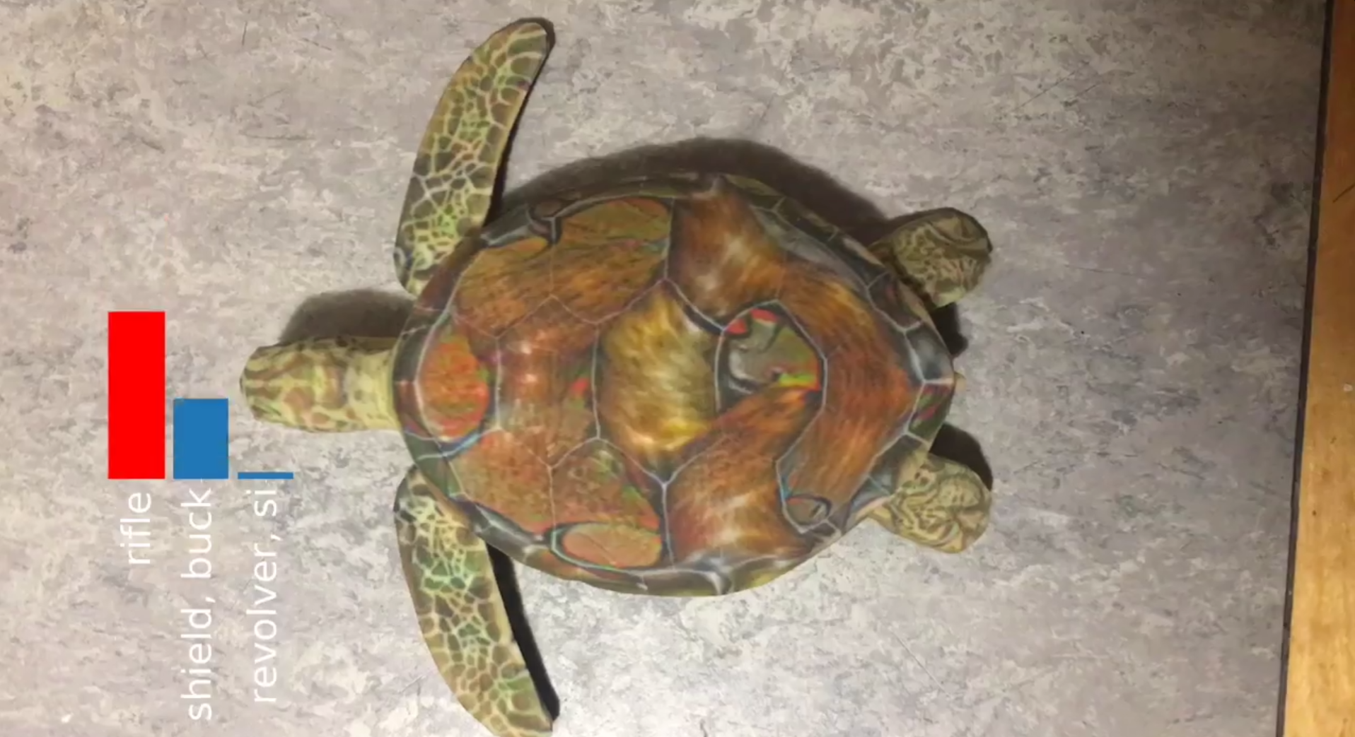 Turtle recognized as gun