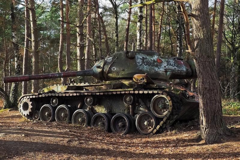 Tank in Forest