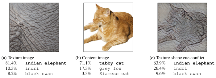Texture vs shape example
